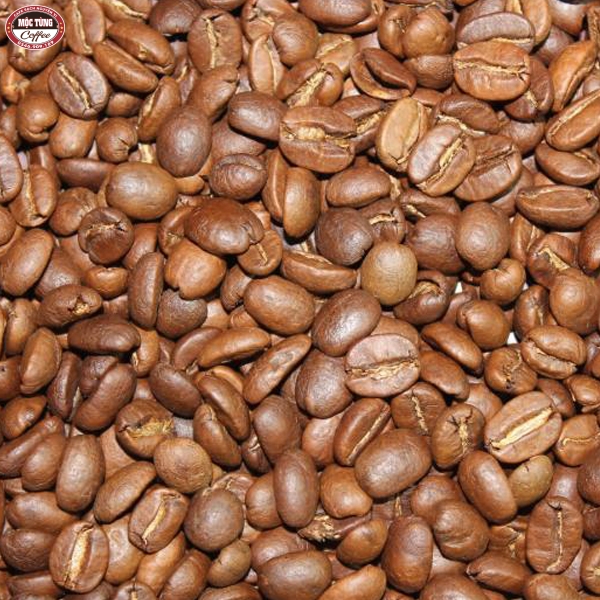 Cà phê rang mộc giá sỉ